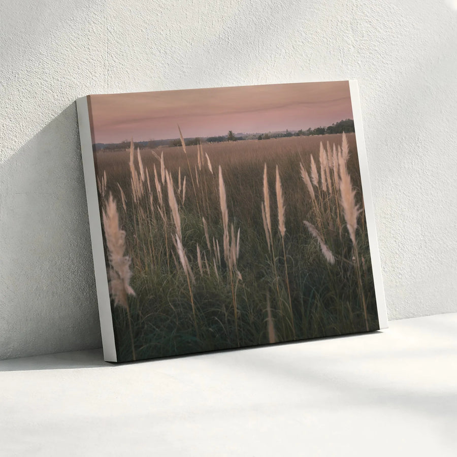 Pampas Grass Canvas Wall Art | Boho Sunset Meadow Photography | Premium Gallery Wrapped Canvas | Modern Farmhouse Decor Gift