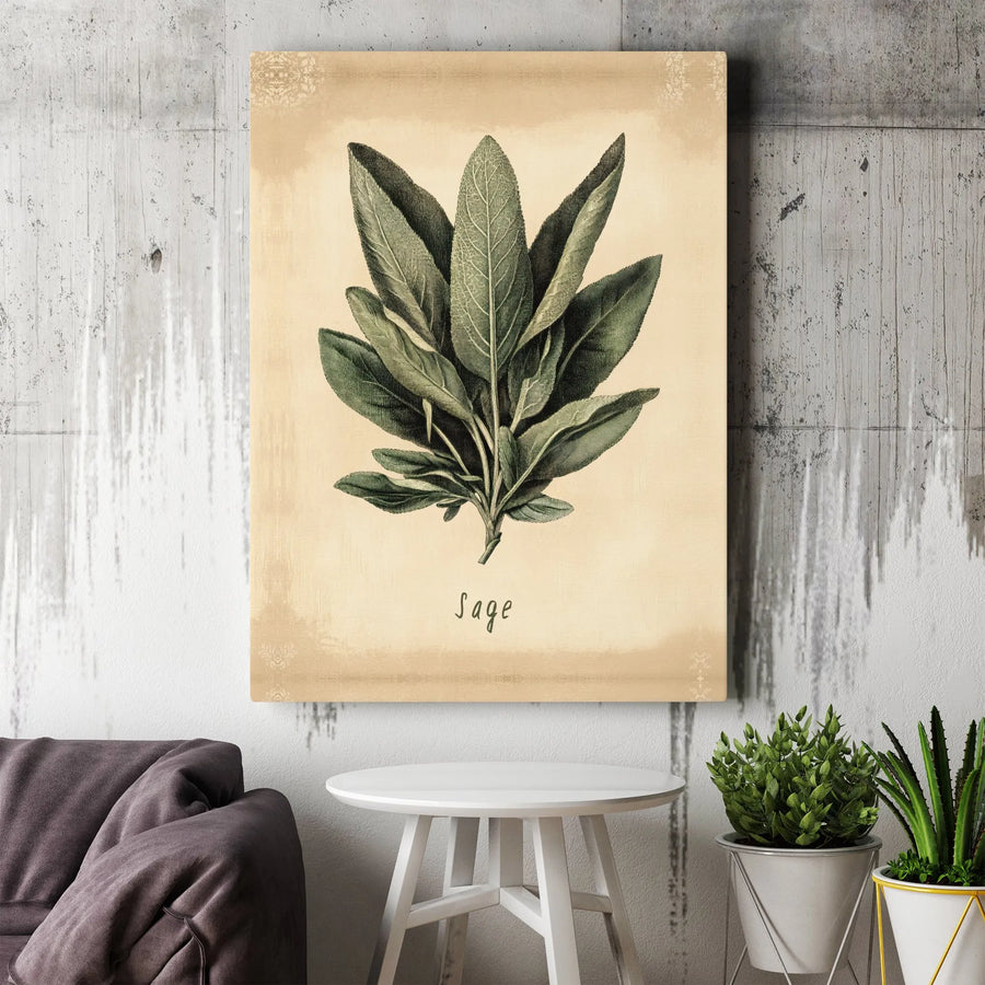 Sage Botanical Wall Art | Vintage Herb Illustration Print | Premium Gallery Wrapped Canvas | Farmhouse Kitchen Decor Gift