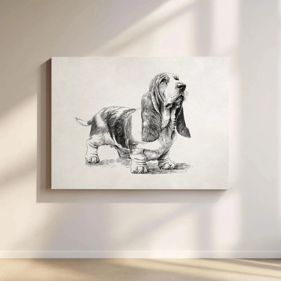 Basset Hound Canvas Wall Art | Vintage Sketch Illustration | Premium Gallery Wrapped Canvas | Gift for Dog Lover & Minimalist Home Decor