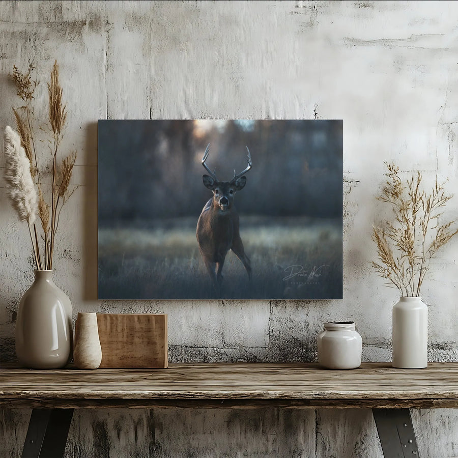 Whitetail Deer Wall Art Canvas | Moody Wildlife Forest Portrait | Premium Gallery Wrapped Print | Nature Lover Home Decor Gift