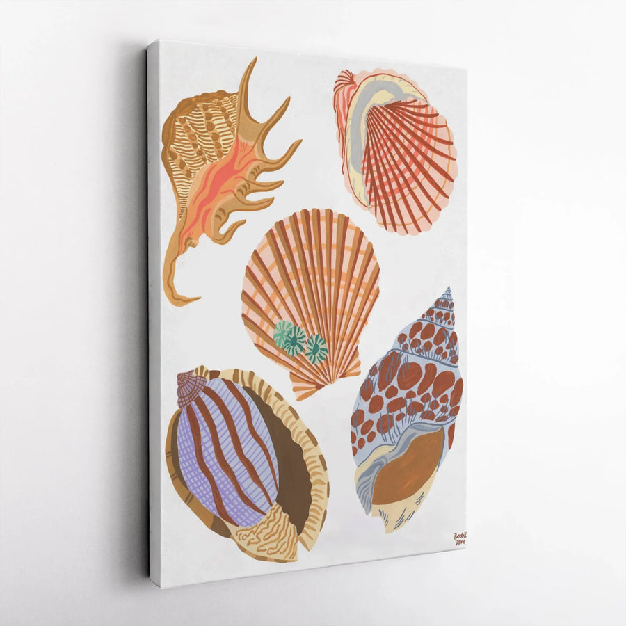 Seashell Canvas Wall Art | Illustrated Nautical Shells Print | Premium Gallery Wrapped Canvas | Modern Coastal Home Decor Gift