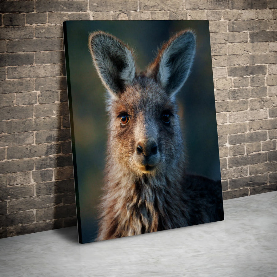 Kangaroo Portrait Canvas Art | Close-Up Australian Wildlife Print | 1.25-Inch Premium Gallery Wrap | Modern Nature Home Decor Wall Art