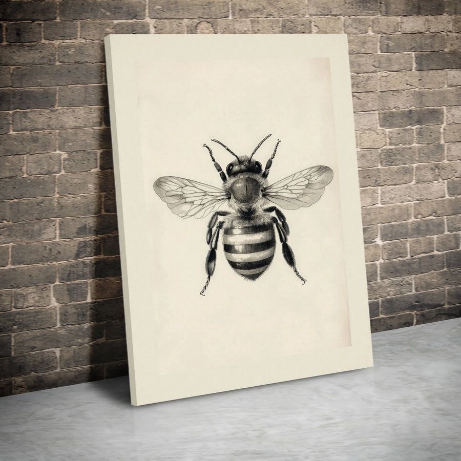 Honeybee Wall Art Canvas | Vintage Scientific Illustration Print | Premium Gallery Wrap Decor | Nature Lover Gift For Home Office