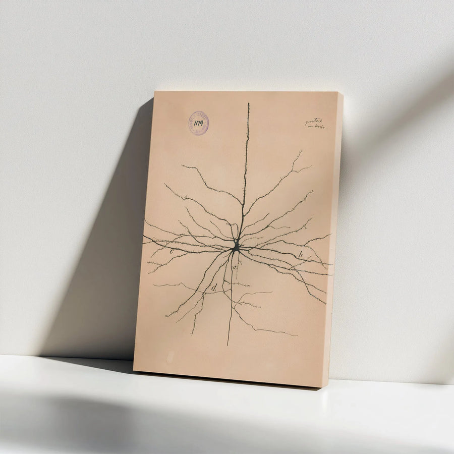 Vintage Neuron Canvas | Cajal Scientific Illustration | Premium Gallery Wrap Wall Art | Neurologist Gift for Doctor Office Decor