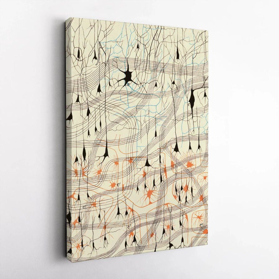 Brain Neuron Canvas Print | Vintage Scientific Illustration | Premium Gallery Wrapped Wall Art | Medical Decor Gift for Doctor or Scientist
