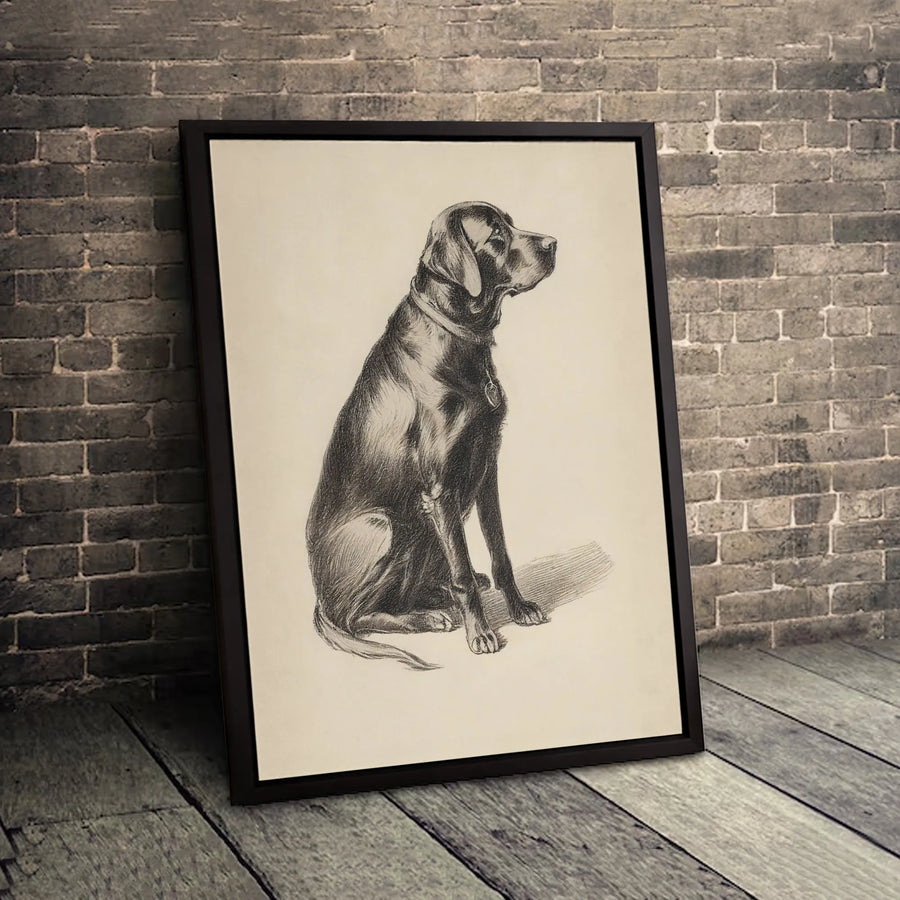 Black Labrador Retriever Canvas Wall Art | Vintage Pencil Dog Sketch Print | 1.25" Premium Gallery Wrapped Decor | Perfect Dog Lover Gift Idea