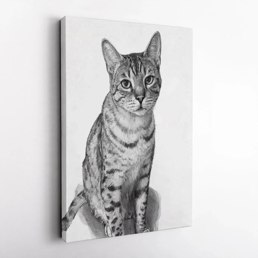 Tabby Cat Portrait Canvas Art | Realistic Pencil Sketch Drawing | 1.25 Inch Gallery Wrap | Minimalist Animal Wall Decor for Pet Lovers