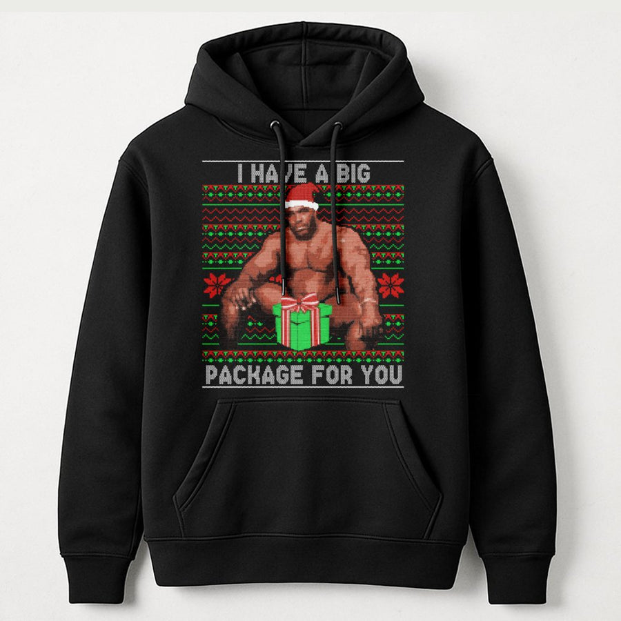 Funny Meme Ugly Christmas Hoodie | Big Package Holiday Humor Design | Cotton-Poly Blend Sweatshirt | Adult Secret Santa Gag Gift