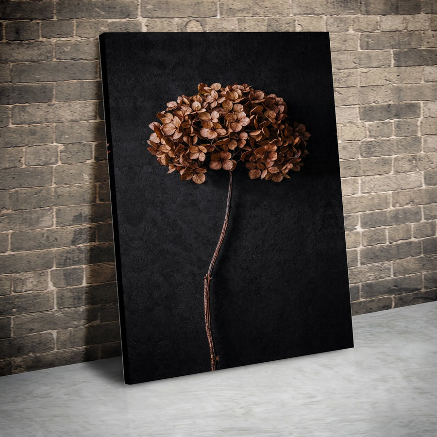 Dried Hydrangea Canvas Print | Minimalist Botanical Art on Dark Background | Premium Gallery Wrapped Canvas | Modern Home Decor Gift