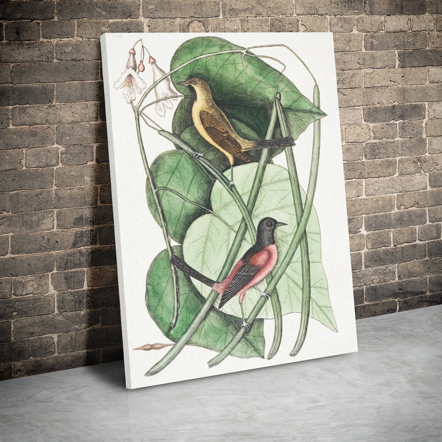 Vintage Bird Botanical Canvas Wall Art | Ornithological Scientific Illustration | Gallery Wrap Premium Print | Nature Lover Gift Home Decor