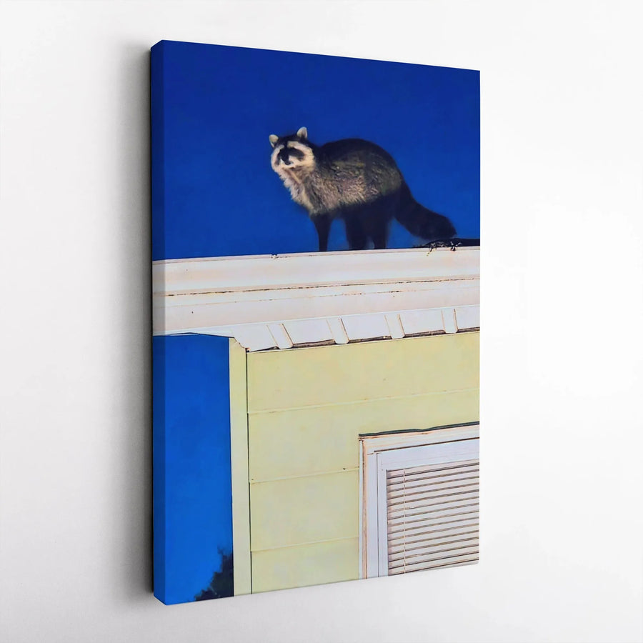 Raccoon on Roof Canvas Wall Art | Modern Wildlife Photography Print | Premium Gallery Wrapped Canvas | Quirky Animal Decor Gift for Living Room