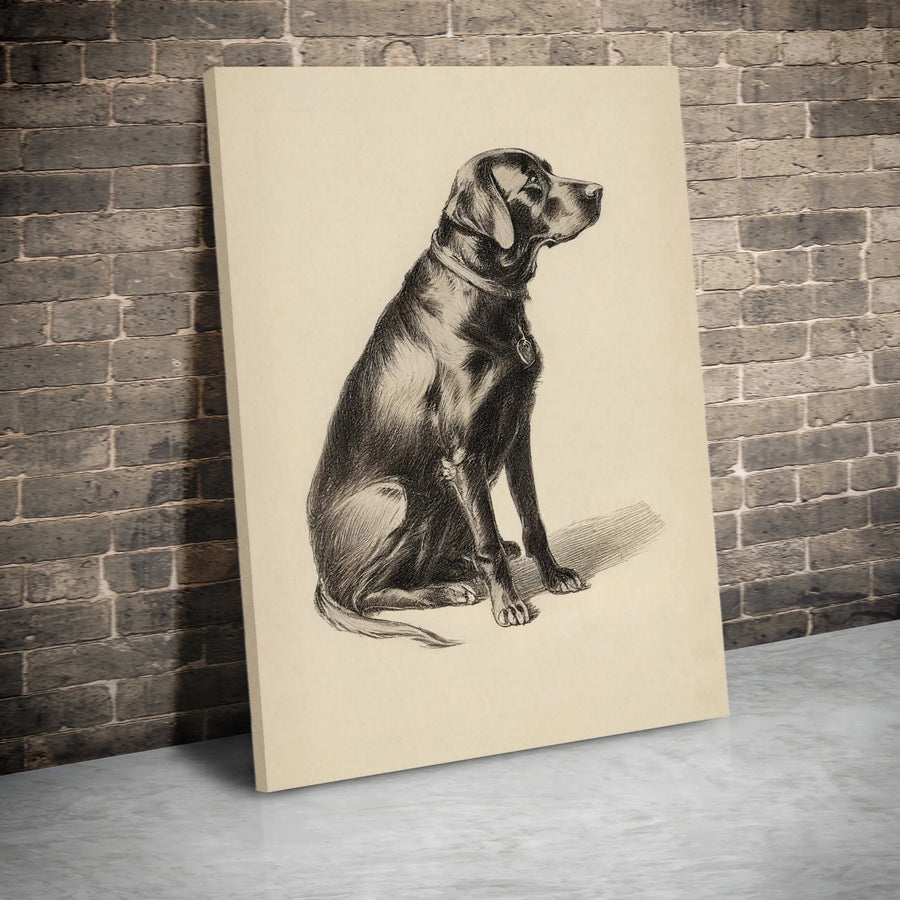 Black Labrador Canvas Wall Art | Vintage Pencil Sketch Dog Portrait | Premium 1.25-Inch Gallery Wrap | Gift For Dog Lovers & Pet Owners