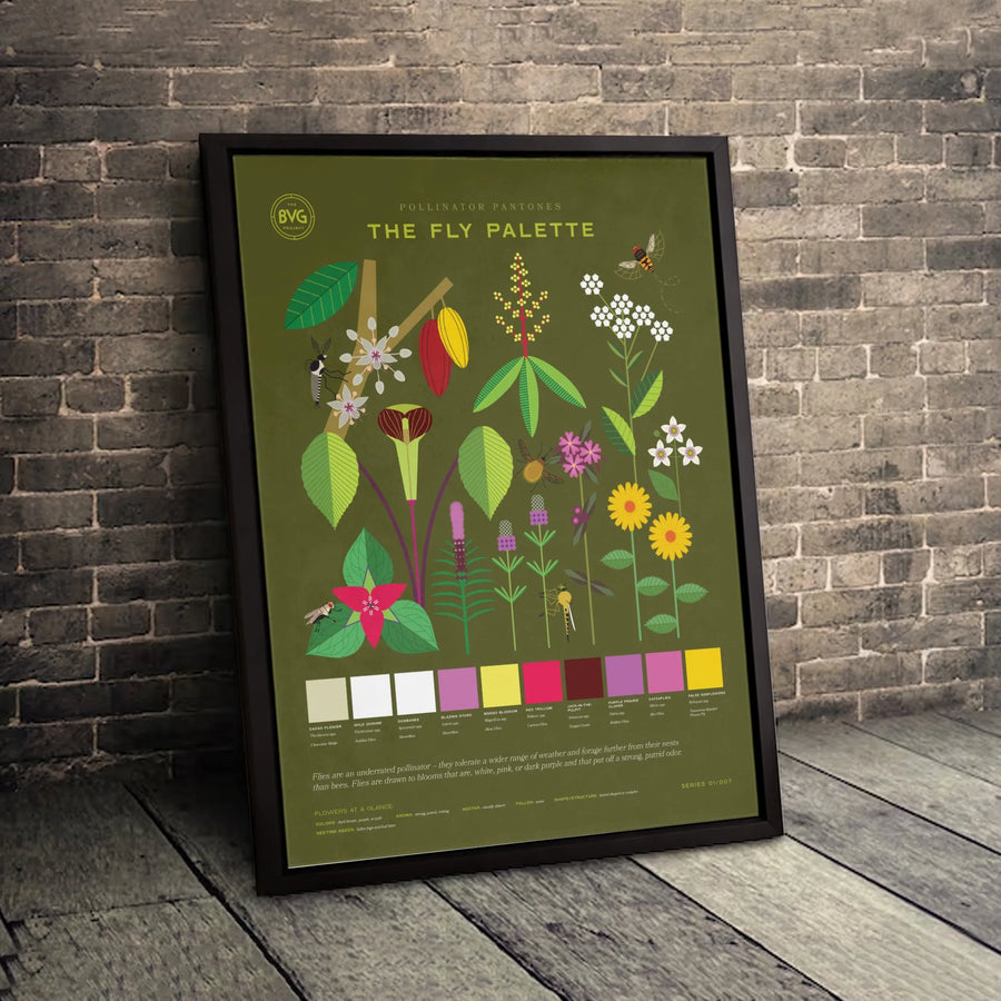 Pollinator Botanical Art Print | Fly Palette Infographic Poster | Gallery Quality 1.25" Thick Canvas | Nature Lover Science Decor Gift