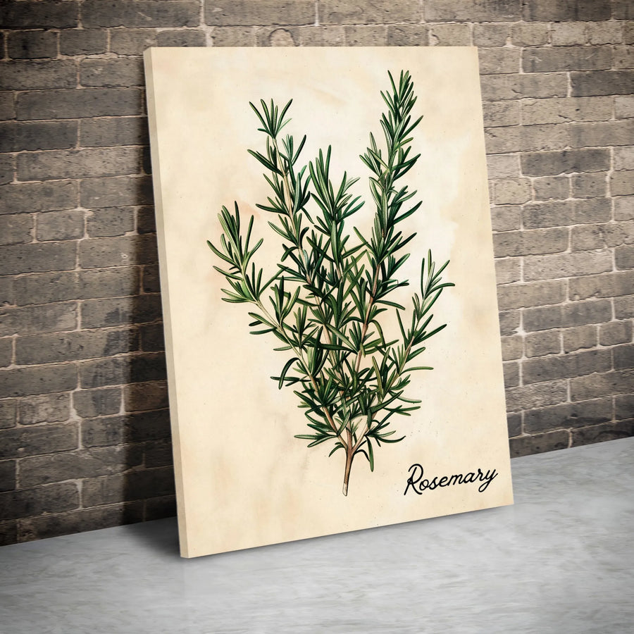Rosemary Botanical Vertical Canvas | Vintage Herb Illustration | Premium Gallery Wall Art | Farmhouse Kitchen Decor Gift for Gardener