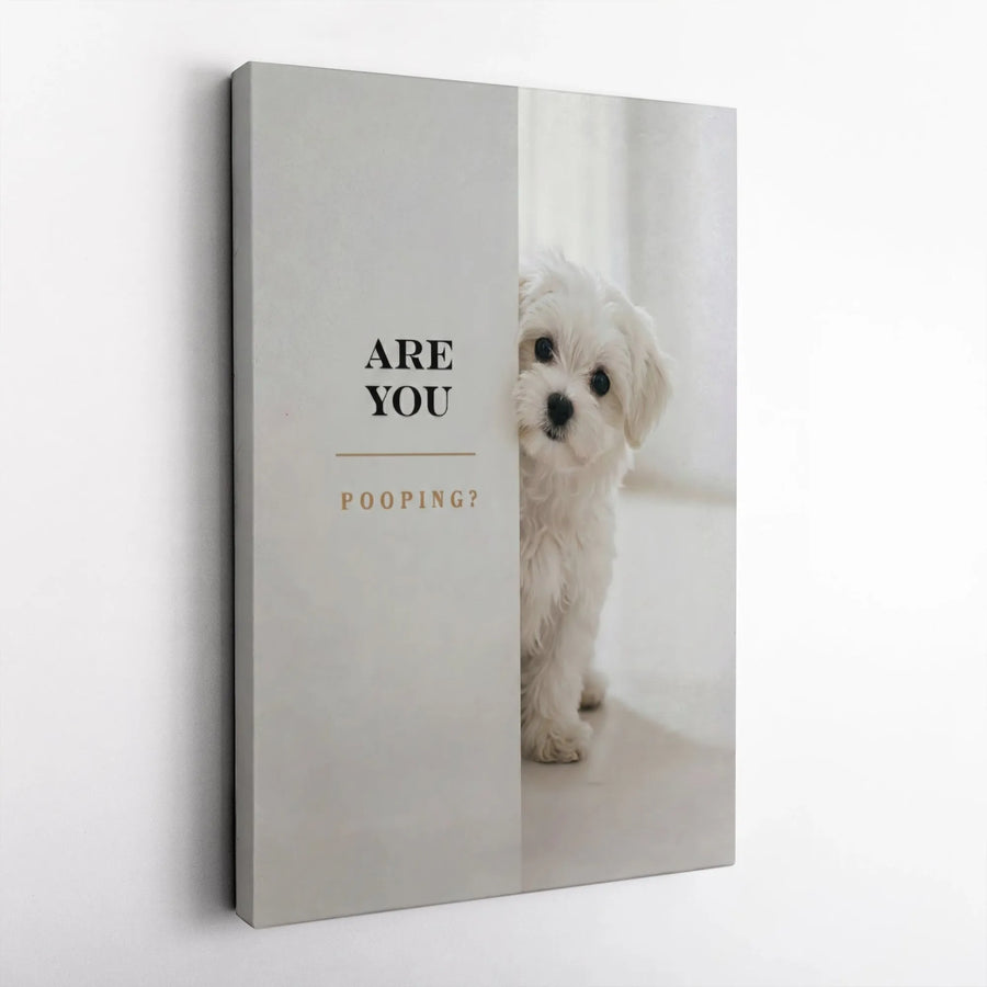 Funny Dog Bathroom Wall Art | Cute Maltese Puppy Peeking Quote | Premium Frameless Canvas | Minimalist Restroom Decor Gift for Dog Lovers