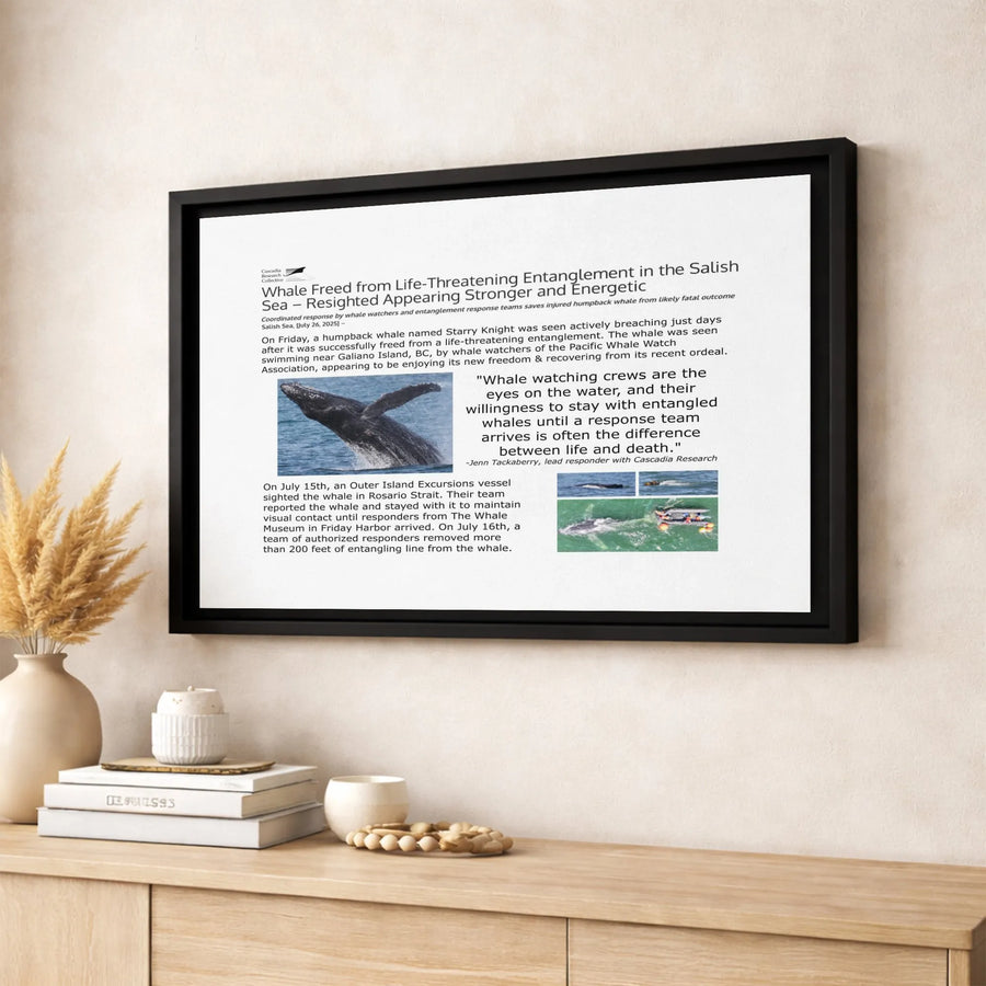 Humpback Whale Rescue Canvas Wall Art | Salish Sea Conservation Story | Premium Gallery Wrap Print | Wildlife Photography Gift for Marine Lovers