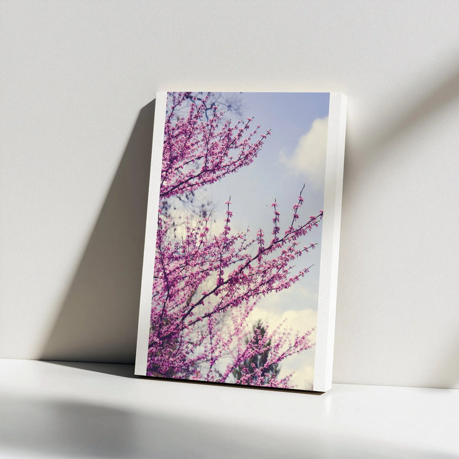 Redbud Tree Vertical Canvas Print | Vintage Spring Blossom Photography | Premium 1.25" Thick Gallery Wrap | Botanical Wall Art Gift for Modern Home Decor