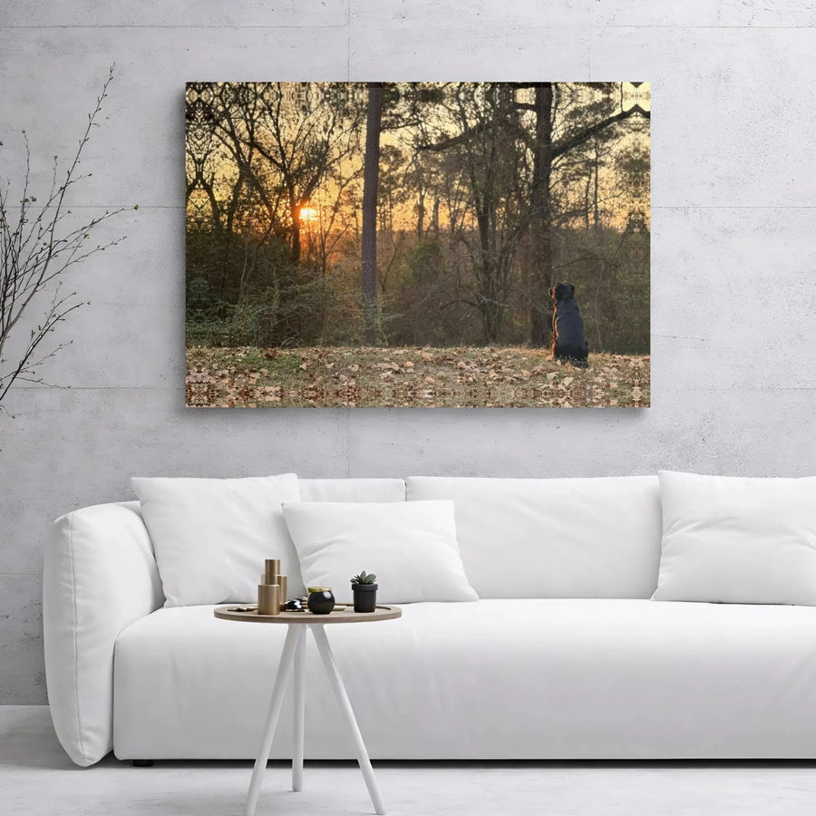 Black Dog Sunset Canvas Wall Art | Autumn Forest Landscape Print | 1.25 Inch Gallery Wrap | Peaceful Nature Home Decor Gift for Dog Lovers