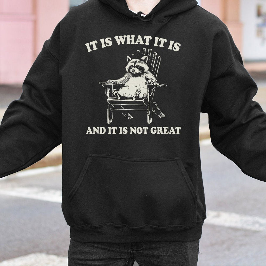 Funny Raccoon Hoodie | It Is What It Is Meme Graphic | Premium Cotton Blend Sweatshirt | Sarcastic Animal Lover Gift for Adults
