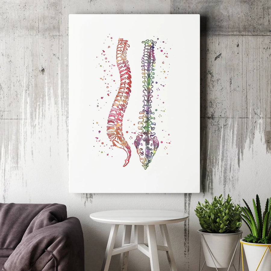Human Spine Anatomy Canvas Print | Watercolor Medical Art | Premium Fade-Resistant Decor | Gift for Chiropractor or Physical Therapist