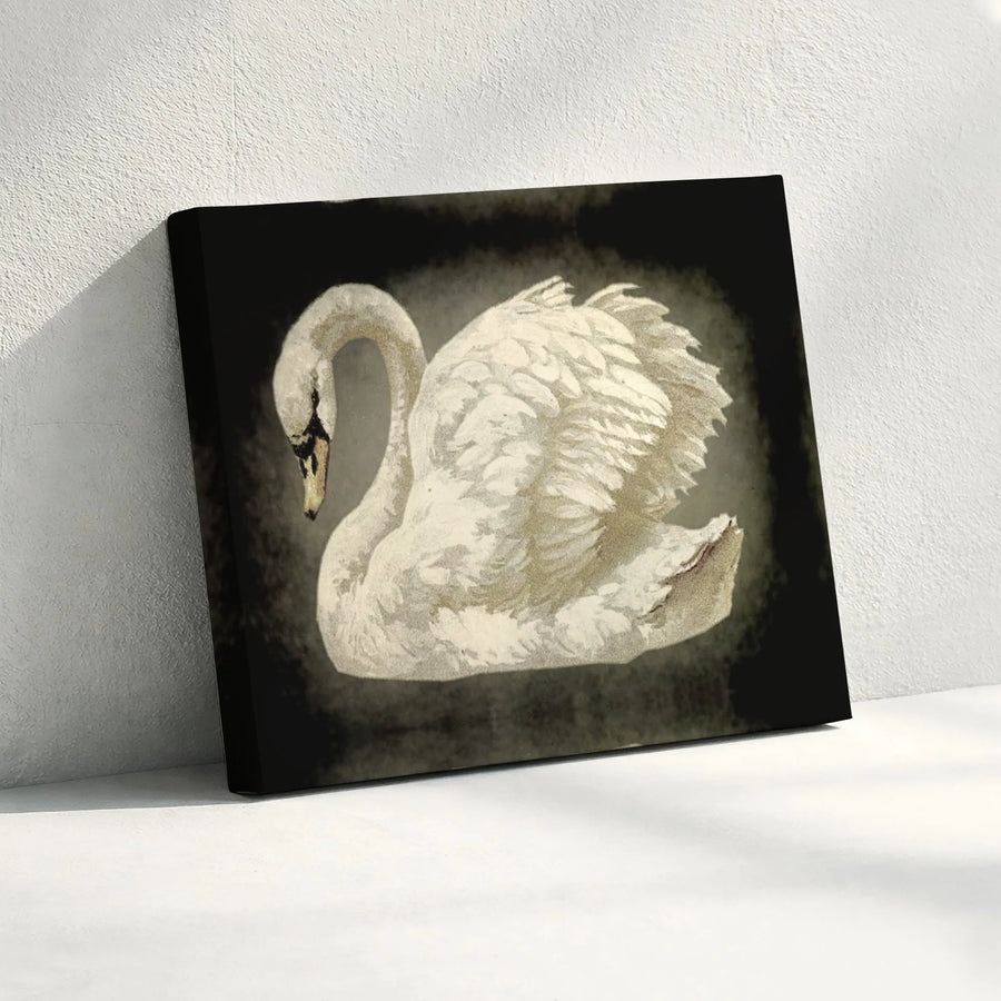White Swan Wall Art Canvas | Moody Vintage Botanical Print | Gallery Quality Fade-Resistant | Elegant Home Decor Gift For Nature Lovers
