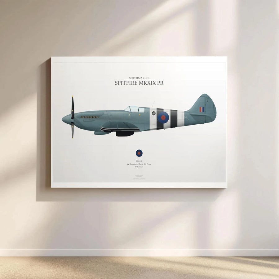 Supermarine Spitfire MkXIX Canvas Print | Historical RAF 541 Squadron Illustration | Gallery Wrap Premium Decor | Aviation Gift for History Buffs
