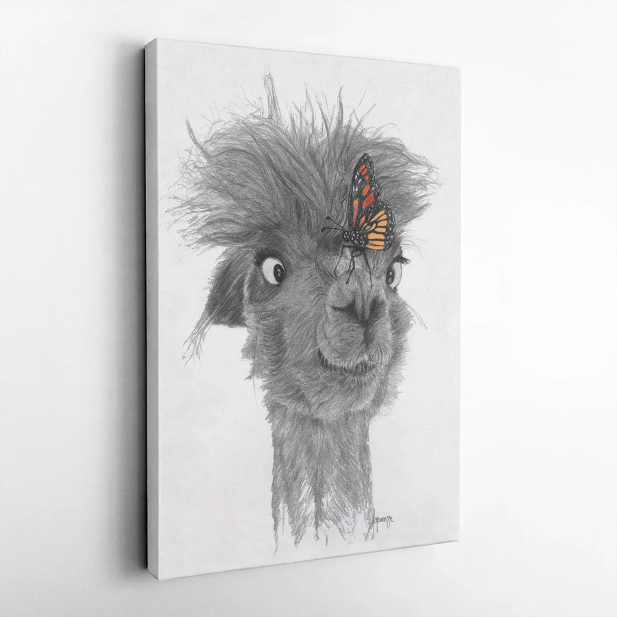 Funny Llama Canvas Print | Pencil Sketch Art with Monarch Butterfly | Premium Gallery Wall Decor | Gift for Animal Lover