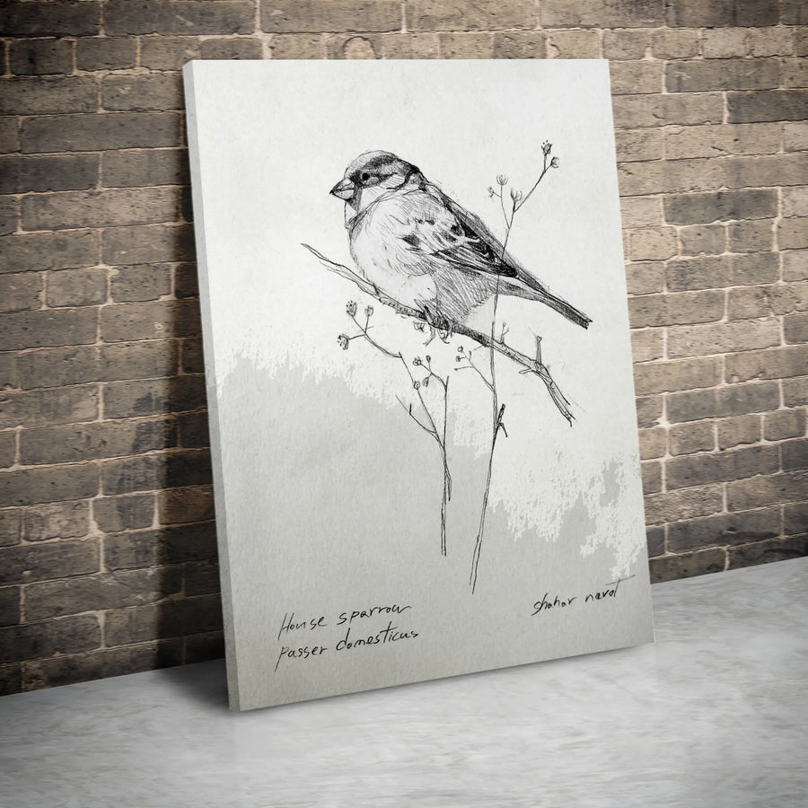 Sparrow Sketch Vertical Canvas | Vintage Naturalist Bird Illustration | Premium Thick Gallery Wrap Art | Gift for Bird Lover, Farmhouse Decor