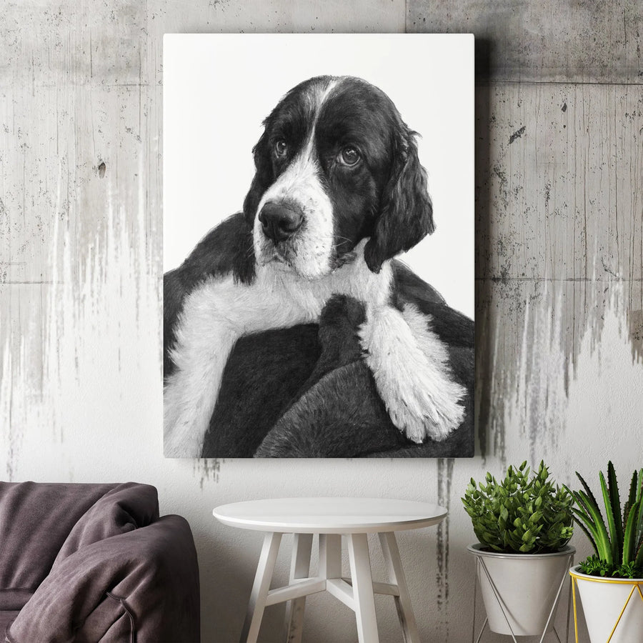 Springer Spaniel Dog Wall Art | Realistic Pencil Sketch Portrait | Premium Gallery Wrapped Canvas | Dog Lover Gift & Home Decor