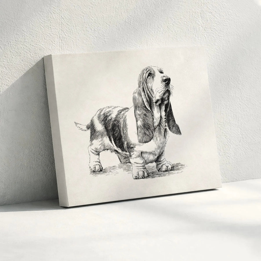 Basset Hound Canvas Wall Art | Vintage Sketch Illustration | Premium Gallery Wrapped Canvas | Gift for Dog Lover & Minimalist Home Decor