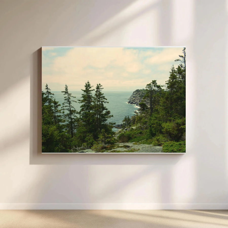 Coastal Forest Canvas Wall Art | Rocky Coastline with Pine Trees | Premium Gallery Wrapped Canvas | Rustic Cabin Decor Gift