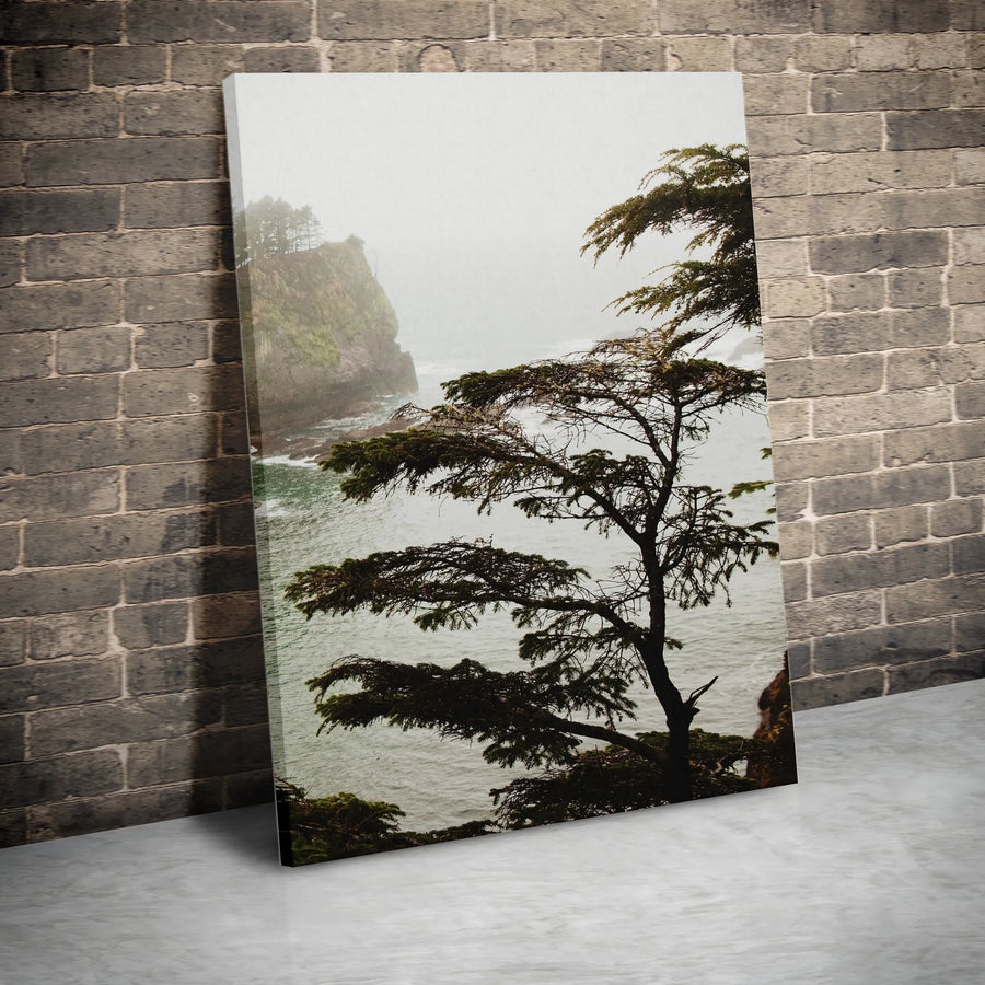 Misty Coastal Tree Canvas Wall Art | Pacific Northwest Landscape Print | 1.25-Inch Gallery Wrap | Premium Nature Decor for Home and Office