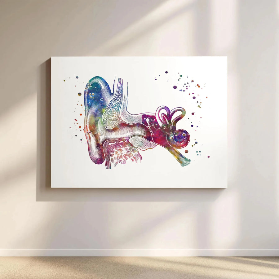 Human Ear Anatomy Print | Watercolor Medical Wall Art | Premium Gallery Canvas | Audiology Clinic Decor & Science Gift