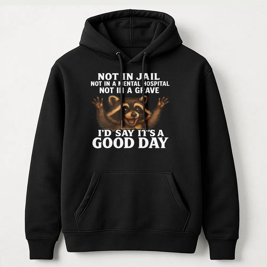 Funny Raccoon Hoodie | Not In Jail Not In A Grave Good Day Graphic | Premium Cotton Blend Sweatshirt | Sarcastic Gift For Men And Women