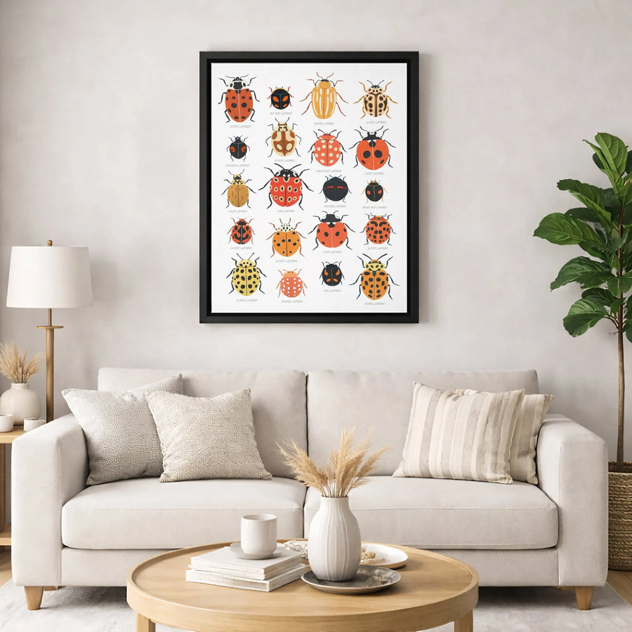 Ladybug Identification Chart Art | Vintage Scientific Insect Poster | Premium Gallery Canvas | Nature Lover Educational Gift Wall Decor