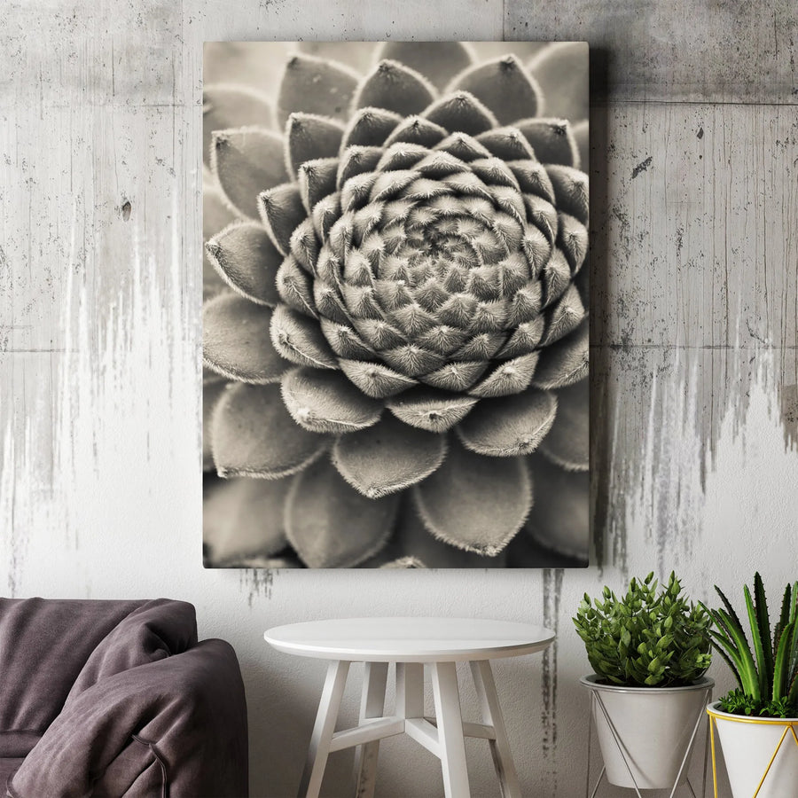 Succulent Canvas Wall Art | Macro Black and White Botanical Print | Premium 1.25 Inch Gallery Wrap | Modern Minimalist Nature Home Decor