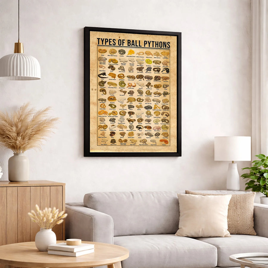 Types Of Ball Pythons Morph Guide Canvas | Educational Snake Anatomy Poster | Premium Gallery Wrap Wall Art | Perfect Reptile Lover Gift