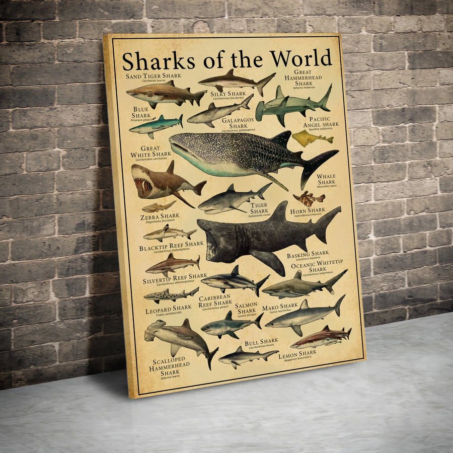 Sharks of the World Canvas Print | Vintage Marine Biology Species Chart | Premium Gallery-Wrapped Wall Art | Educational Gift for Ocean Lovers