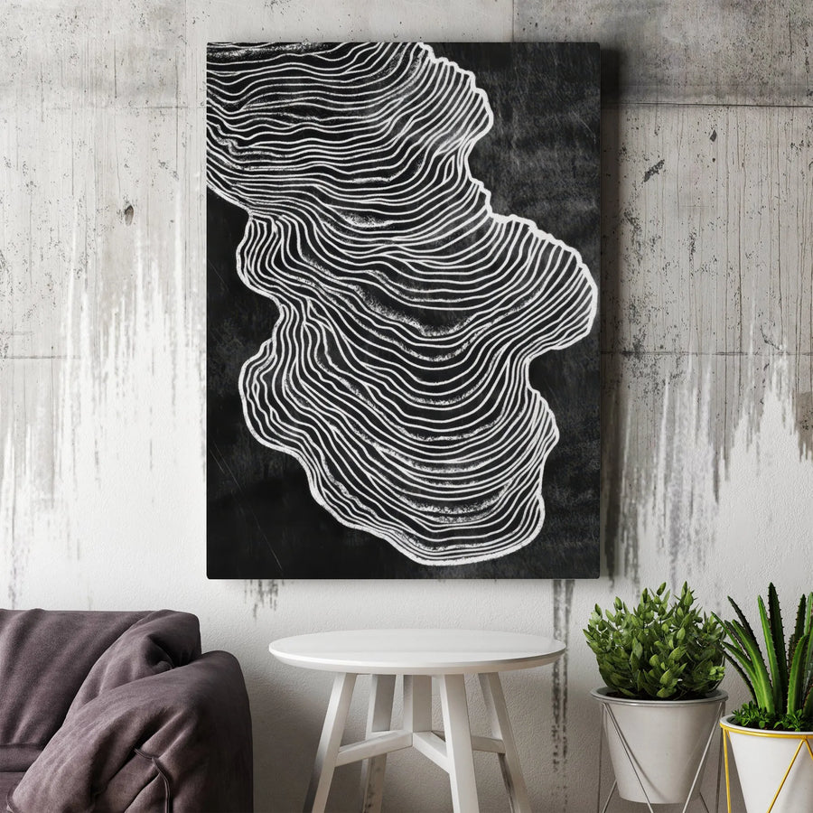 Abstract Black And White Topographic Wall Art | Minimalist Contour Line Print | Premium 1.25-Inch Thick Gallery Canvas | Modern Home Decor Gift