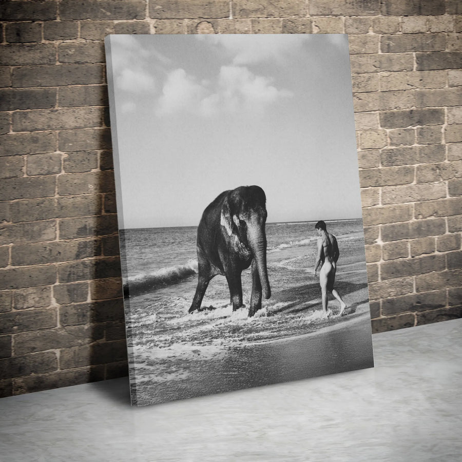 Elephant Beach Wall Art | Artistic Black and White Photography | 1.25 Inch Gallery Wrapped Canvas | Minimalist Surreal Home Decor Gift