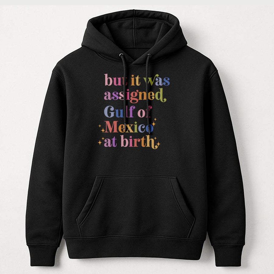 Assigned Gulf of Mexico At Birth Hoodie | Retro Colorful Text Graphic | Premium Cotton Blend | Funny Coastal Geography Gift for Ocean Lovers