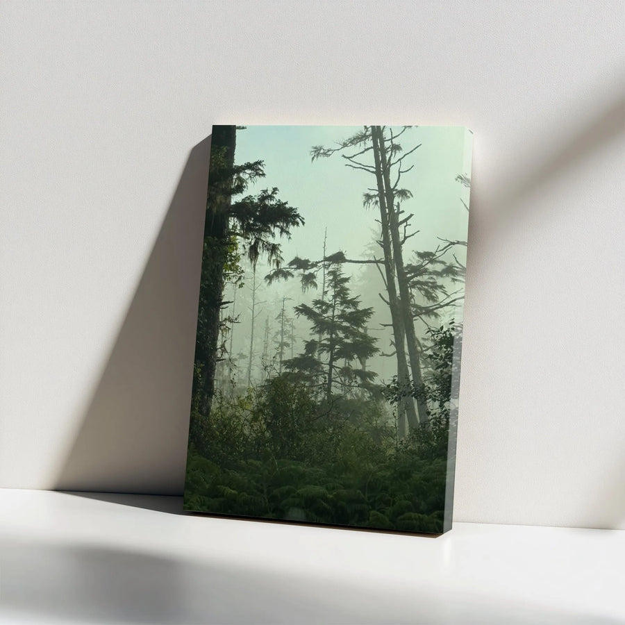 Foggy Forest Canvas Wall Art | Moody Evergreen Pine Trees Print | Premium Gallery Wrap 1.25 Inch Depth | Nature Inspired Home Office Decor