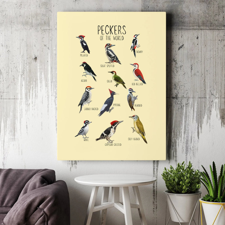 Woodpecker Identification Chart Canvas | Peckers Of The World Nature Print | 1.25" Gallery Wrap Premium Decor | Unique Gift For Bird Watchers