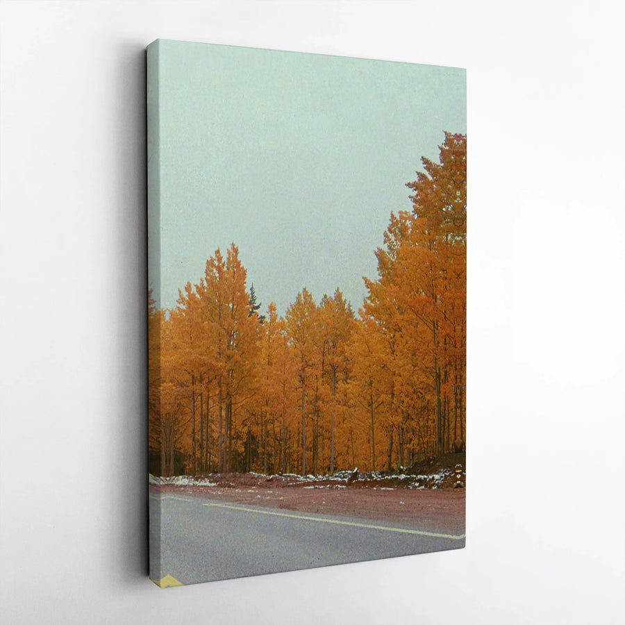Autumn Forest Road Canvas Print | Snowy Fall Landscape Wall Art | Gallery Wrapped 1.25" Premium Wood Frame | Cozy Seasonal Nature Home Decor