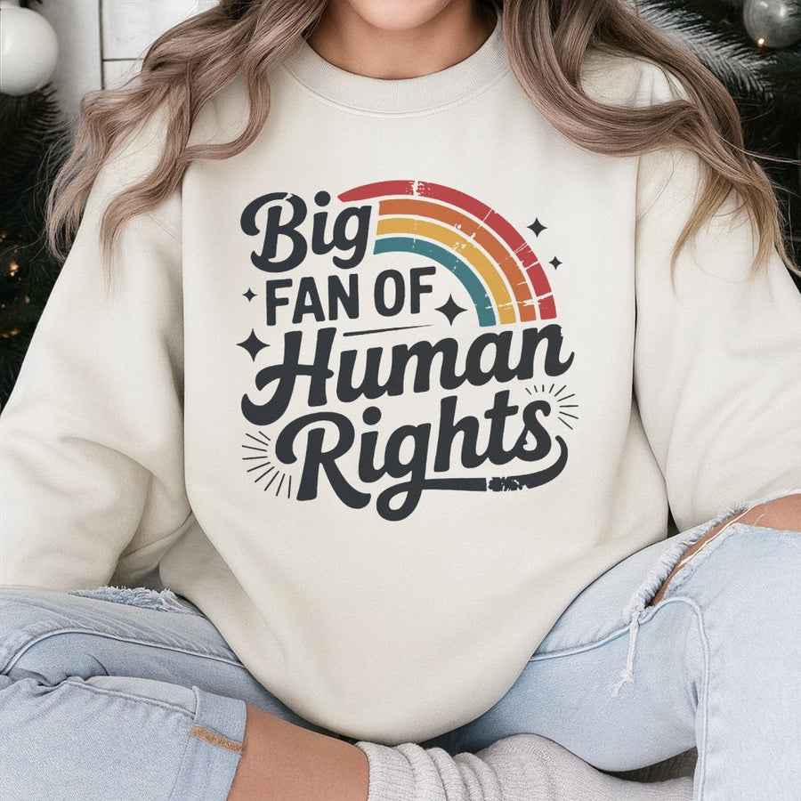 Big Fan Of Human Rights Sweatshirt | Retro Rainbow Aesthetic Graphic | Premium Cotton Blend | Equality Activist Gift For Social Justice Advocates