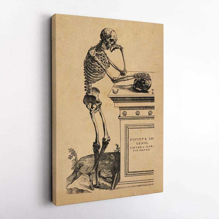 Vivitvr In Genio Anatomical Skeleton Canvas | Vintage Medical Illustration Art | Premium Gallery Wrapped Print | Gothic Home & Office Decor Gift