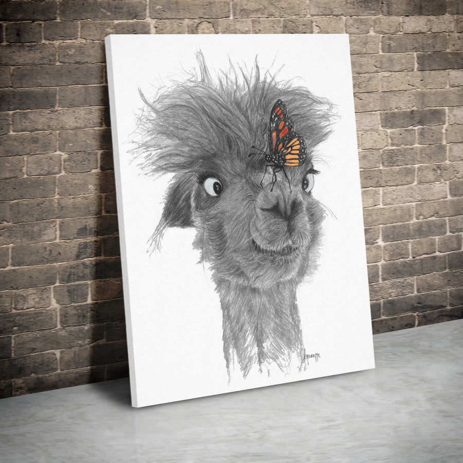 Funny Llama Canvas Print | Pencil Sketch Art with Monarch Butterfly | Premium Gallery Wall Decor | Gift for Animal Lover