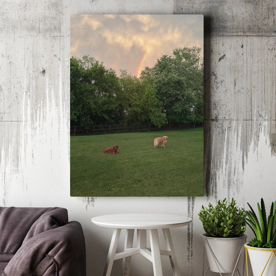 Golden Retriever Canvas Art | Rainbow Meadow Sunset Landscape | Premium 1.25 Inch Gallery Wrap | Peaceful Dog Lover Wall Decor Gift