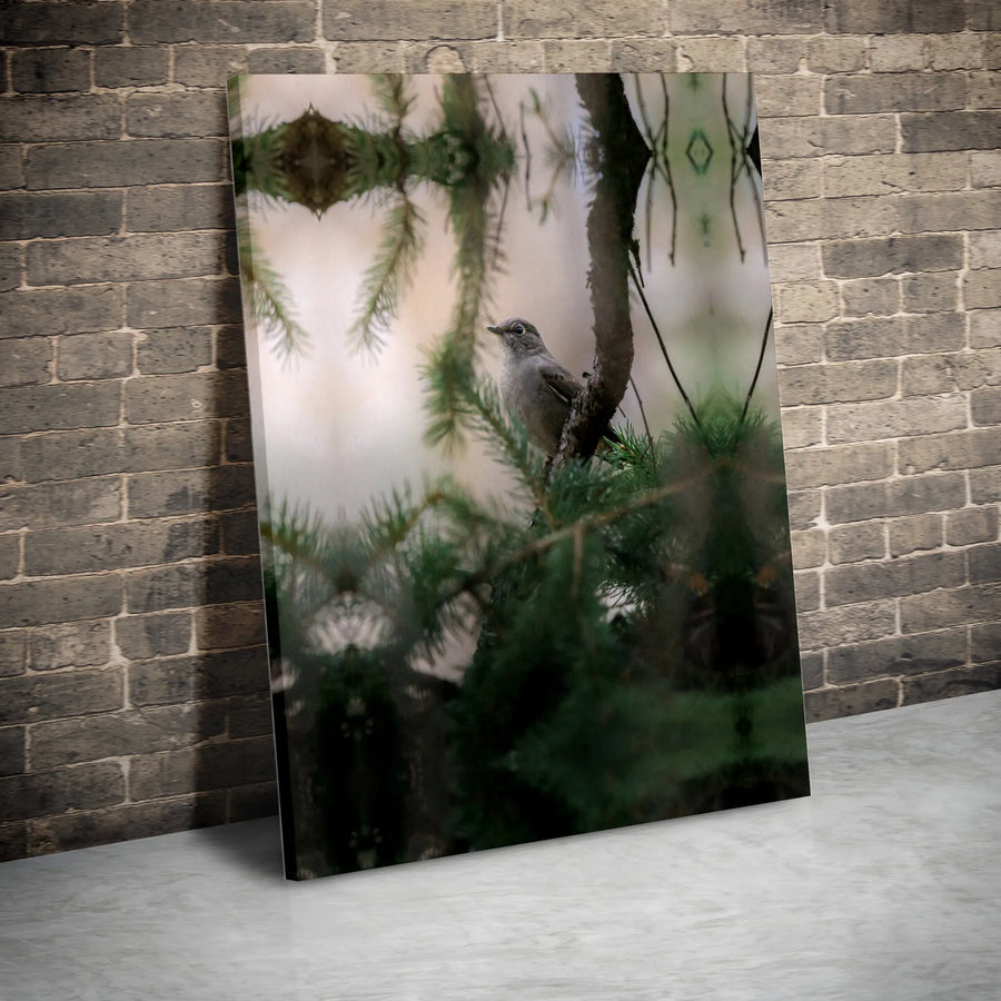 Songbird on Pine Branch Canvas Print | Realistic Wildlife Photography Art | Premium Gallery Wrapped 1.25" Canvas | Gift for Nature Lovers & Cabin Decor