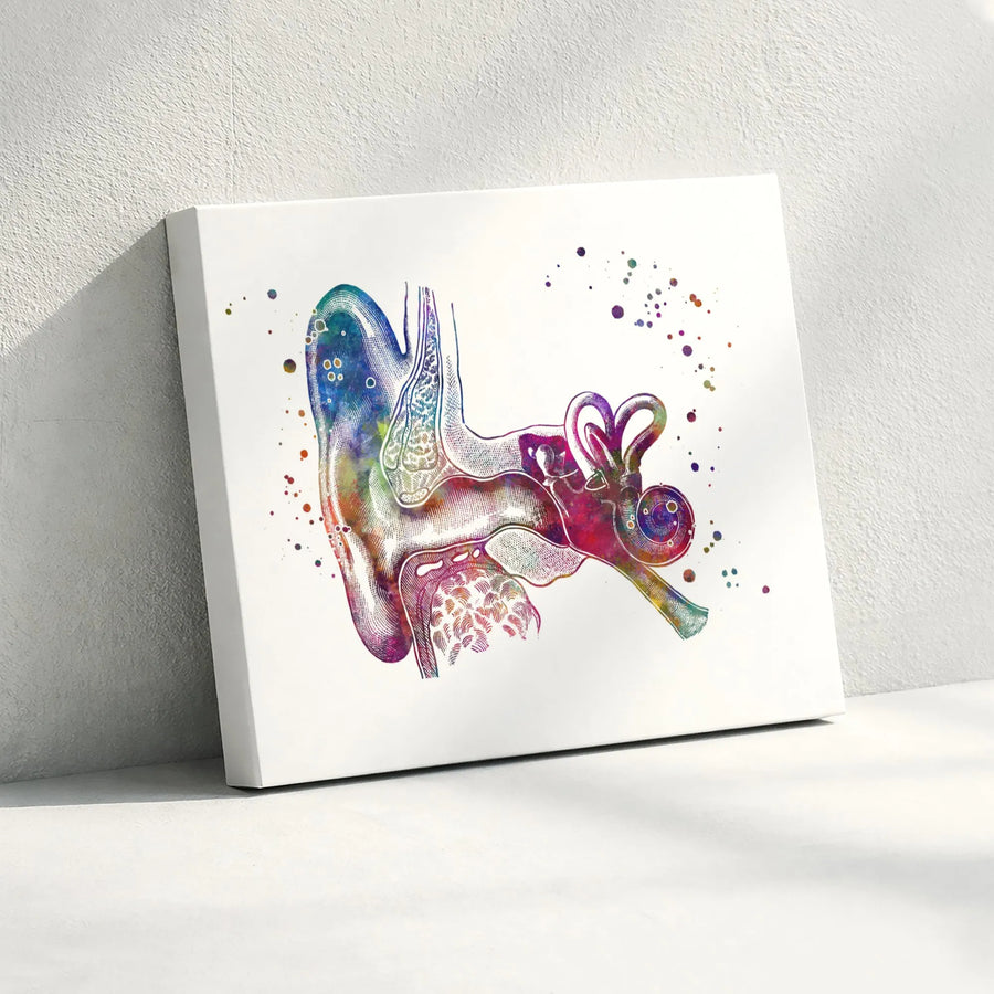 Human Ear Anatomy Print | Watercolor Medical Wall Art | Premium Gallery Canvas | Audiology Clinic Decor & Science Gift